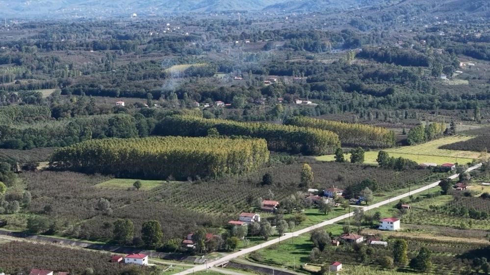 Çarşamba Ovası meyvede zirvede