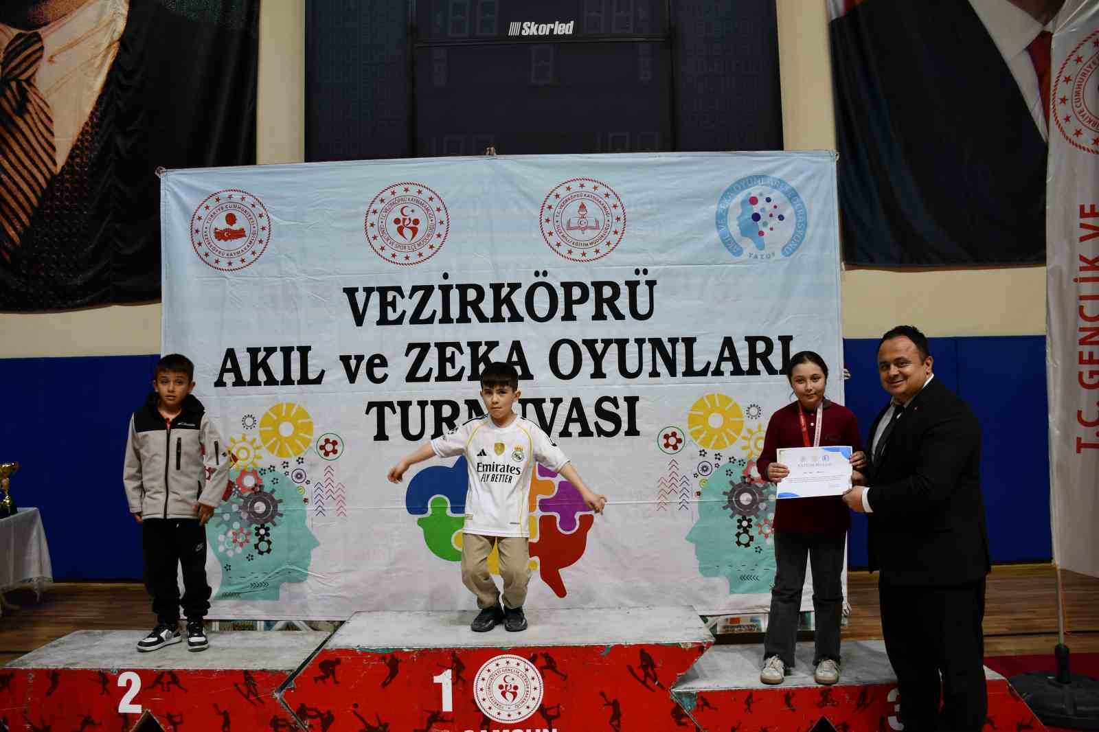 Akıl ve Zekâ Oyunları Turnuvası
