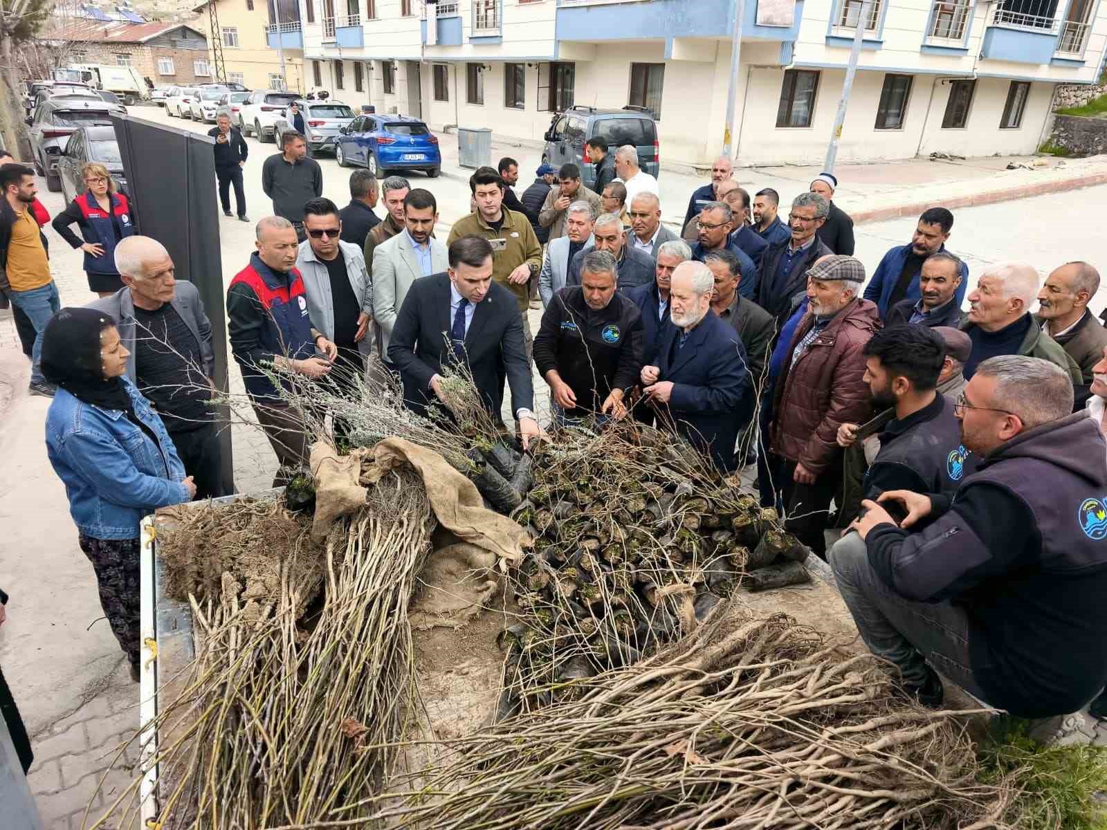 Çemişgezek’te vatandaşlara ücretsiz fidan dağıtıldı
