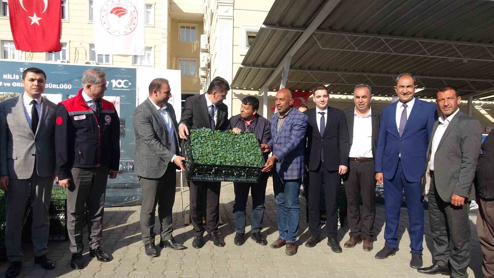 Kilis’te 320 çiftçiye üzüm şalı, 250 çiftçiye 400 bin fide desteği
