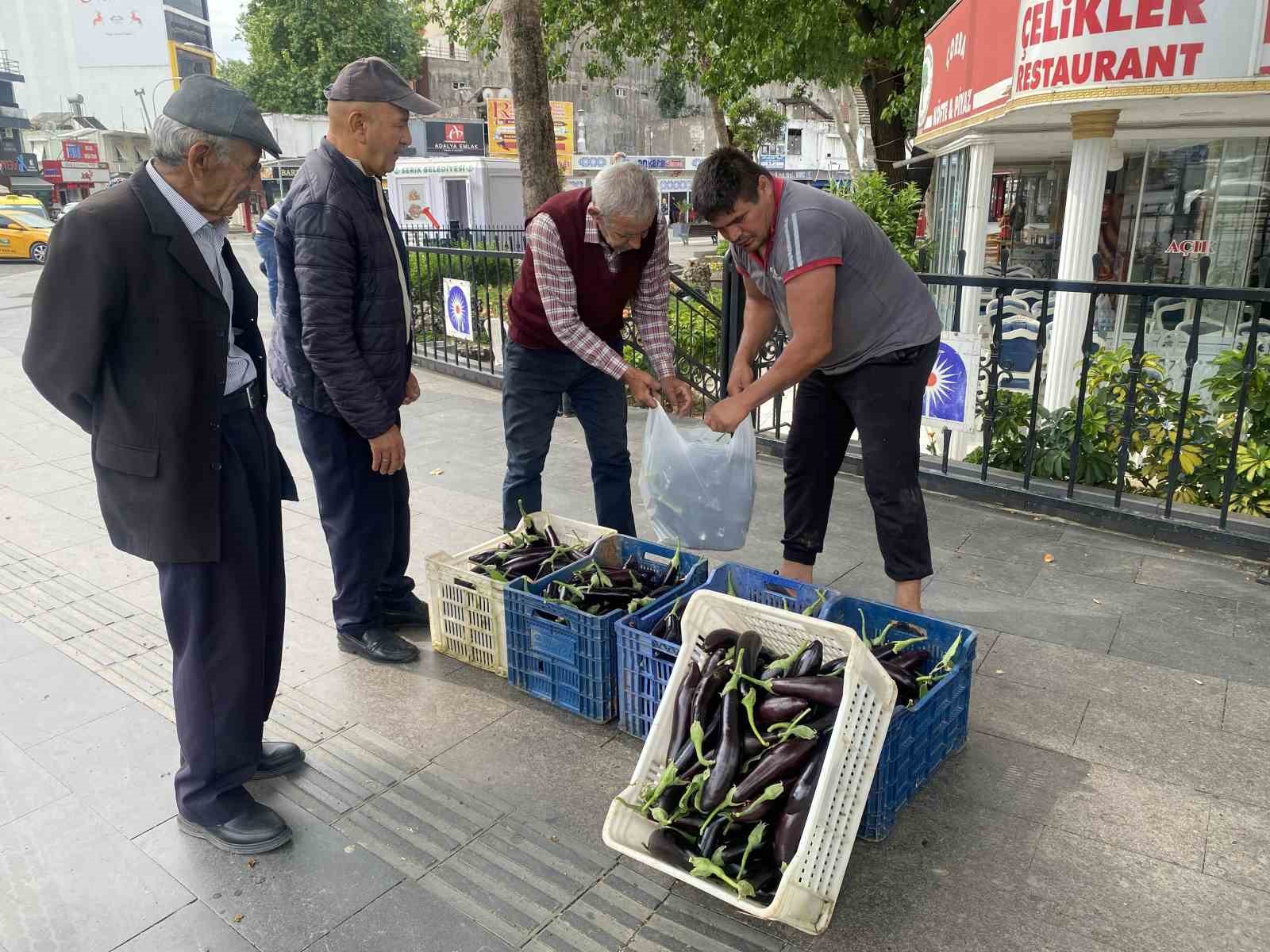 Ürettiği patlıcanlar maliyetini kurtarmayınca serasının kapılarını vatandaşlara açtı

