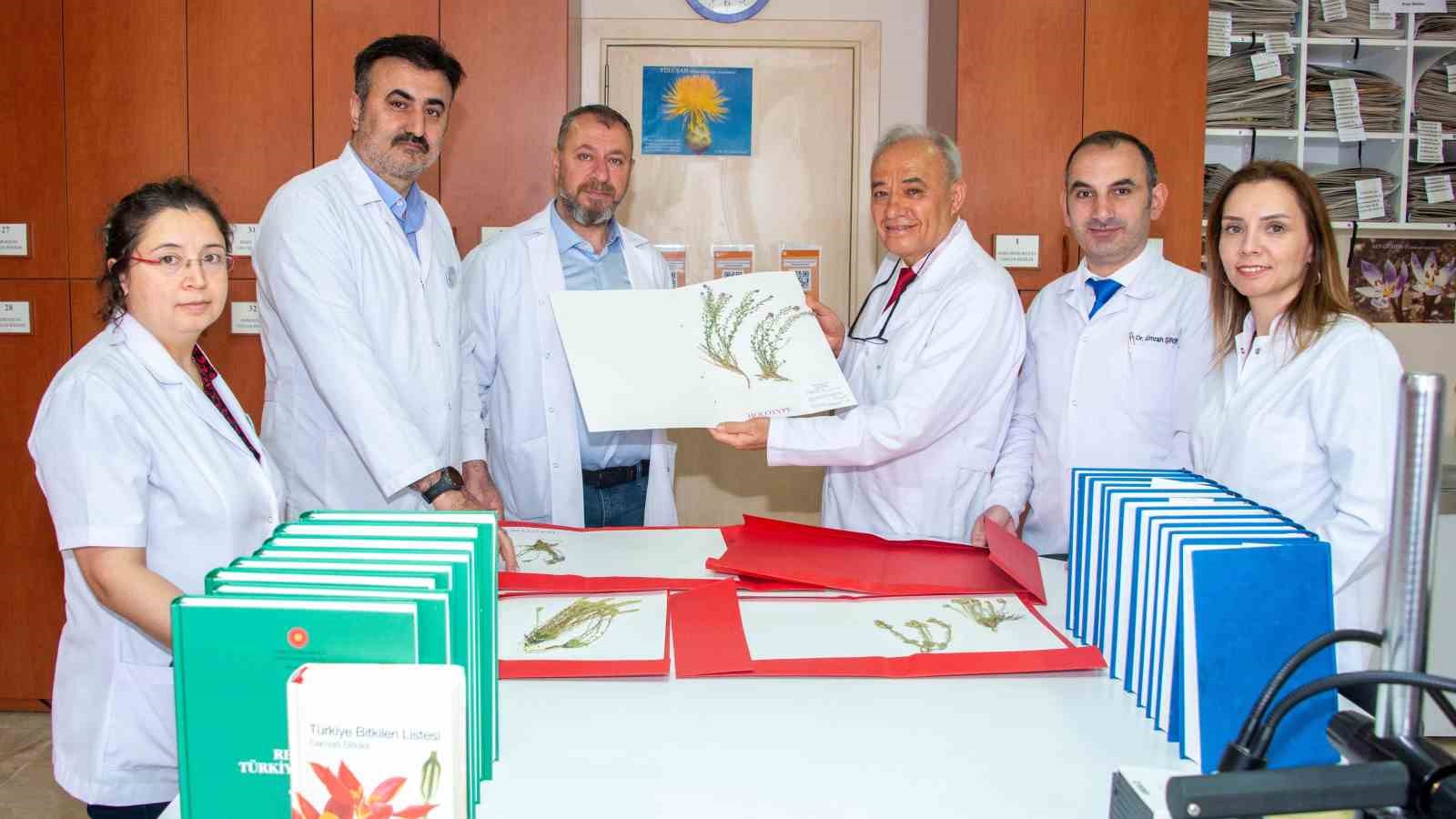 Selçuk Üniversitesi akademisyenleri 4 yeni bitki türü keşfetti
