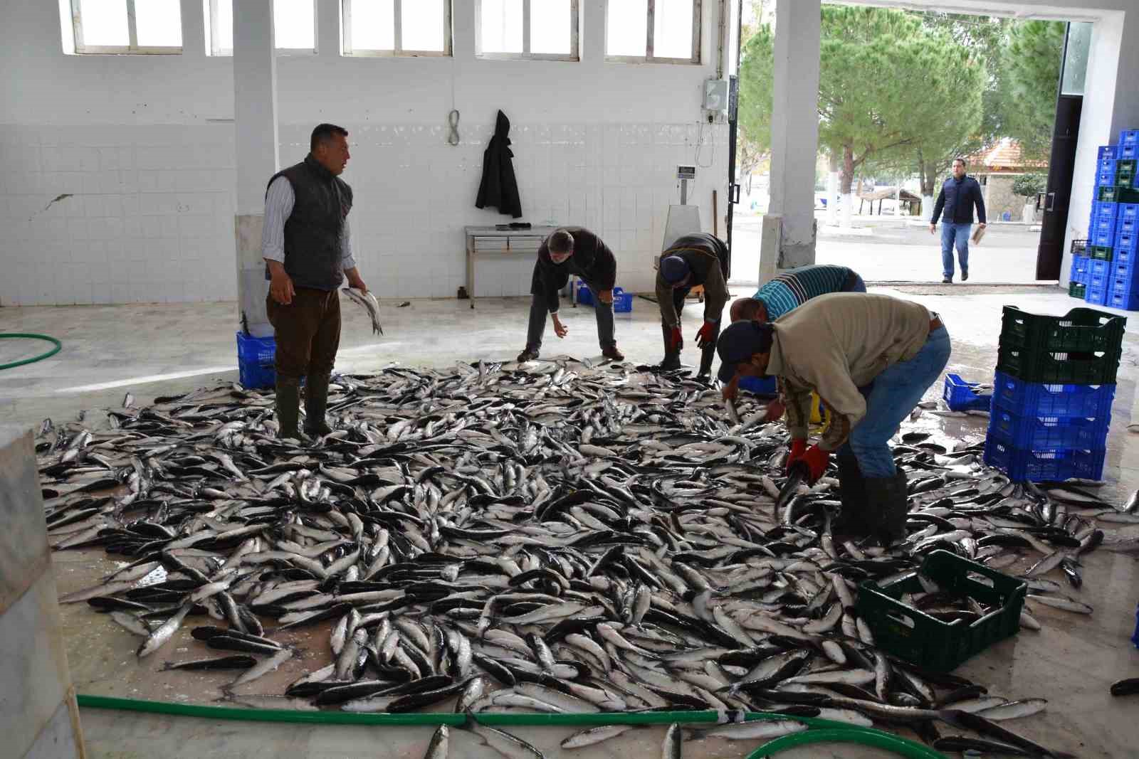 Muğla’nın ihracatı Nisan ayında artış gösterdi
