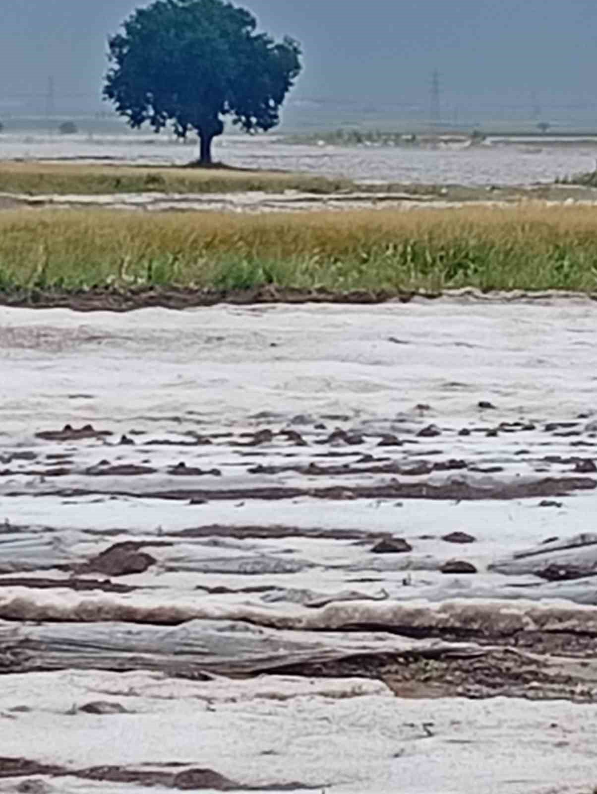 Adana’da dolu yağışı etkili oldu
