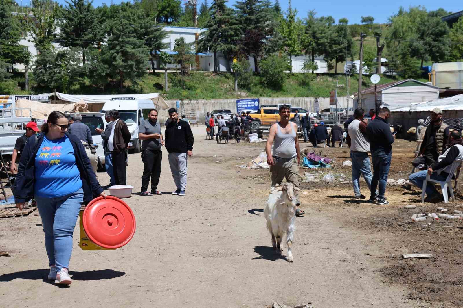 Elazığ hayvan pazarında hareketlilik sürüyor
