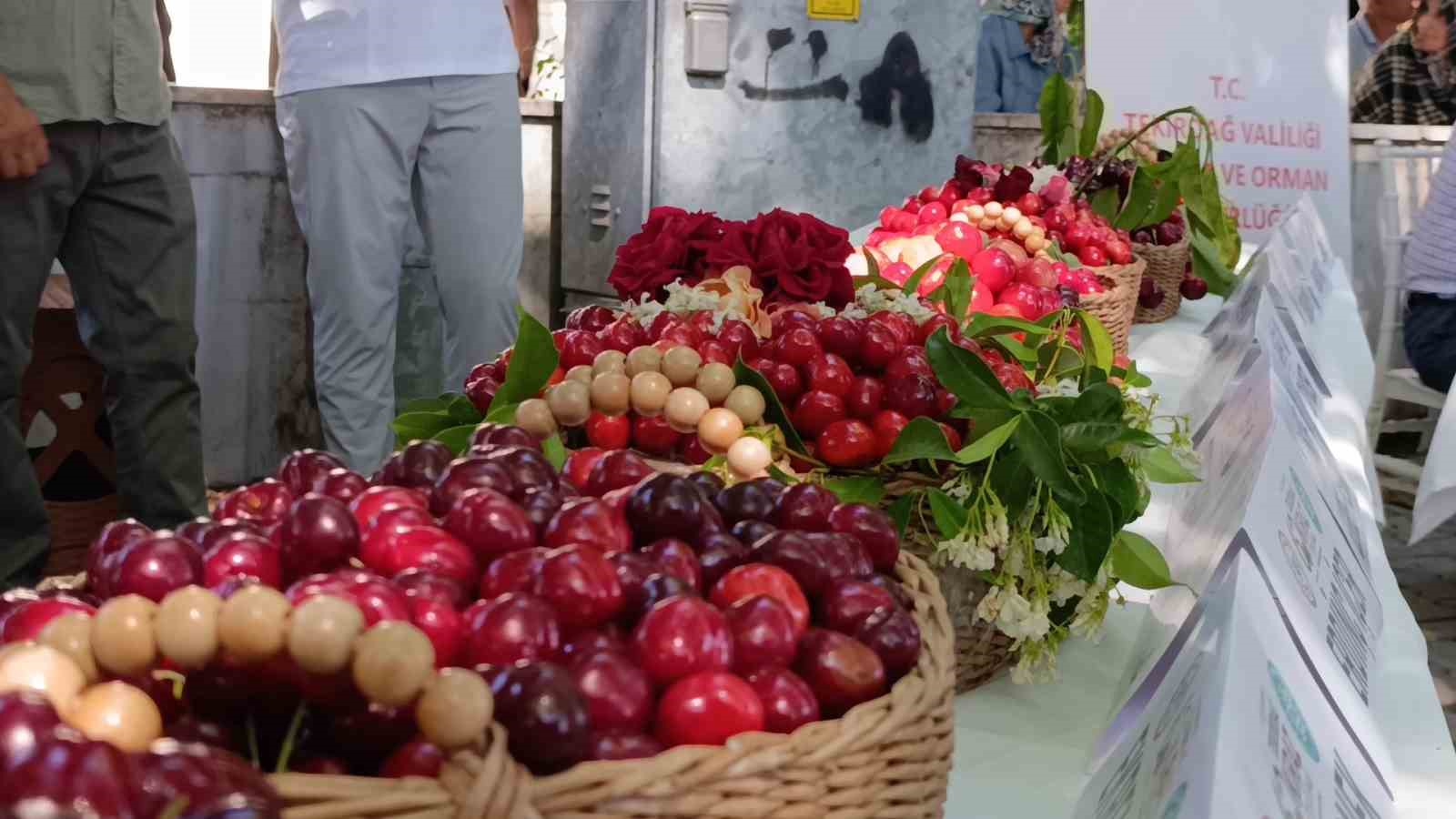 60. Uluslararası Tekirdağ  Kiraz Festivali başladı: En güzel kirazlara 60 bin lira ödül
