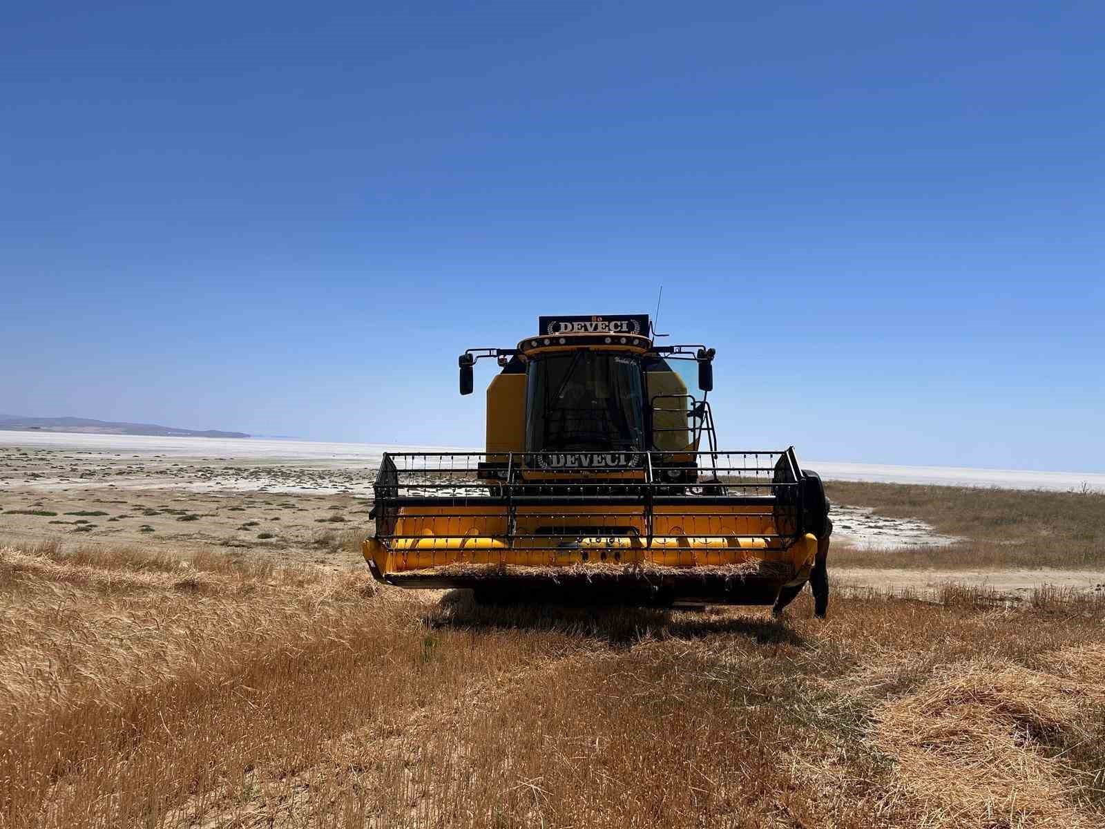 Kulu’da arpa hasadı başladı
