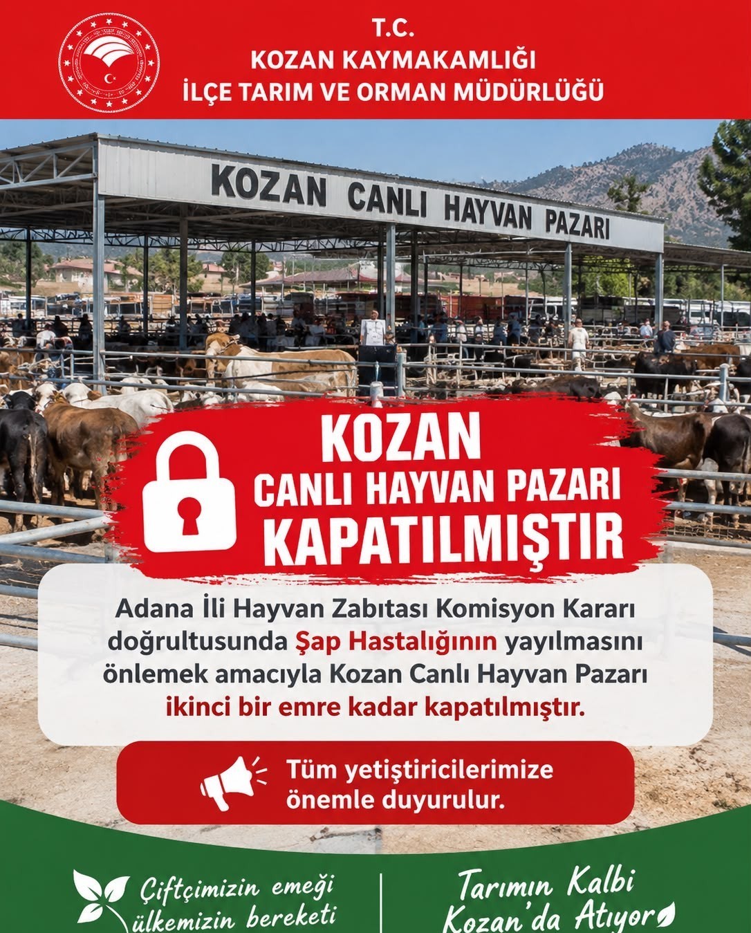 Kozan canlı hayvan pazarı şap hastalığı nedeniyle kapatıldı
